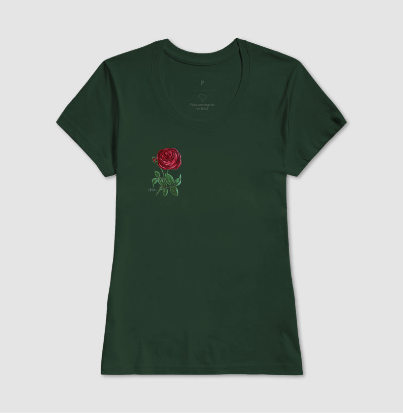 Rosa de Santa Teresinha