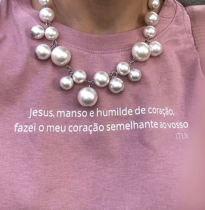 Manso e humilde de coração