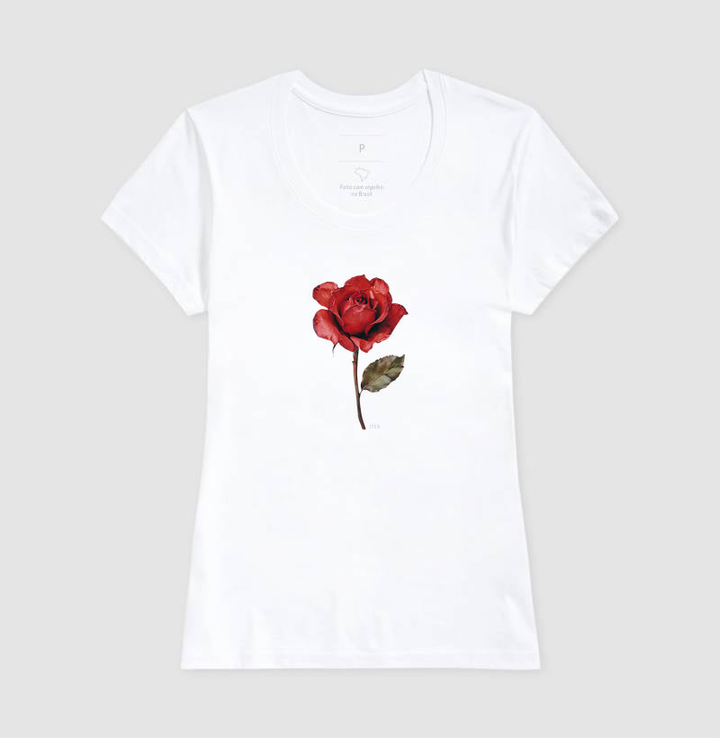 Rosa de Teresinha