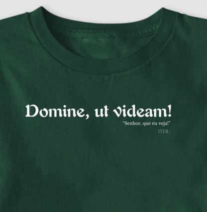 Domine, ut videam - Senhor, que eu veja