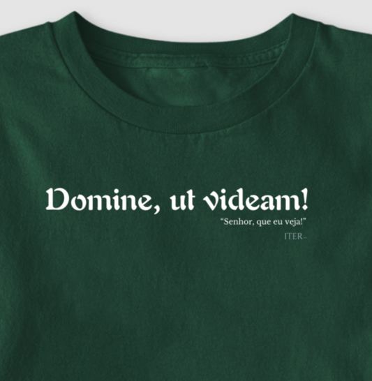 Domine, ut videam - Senhor, que eu veja