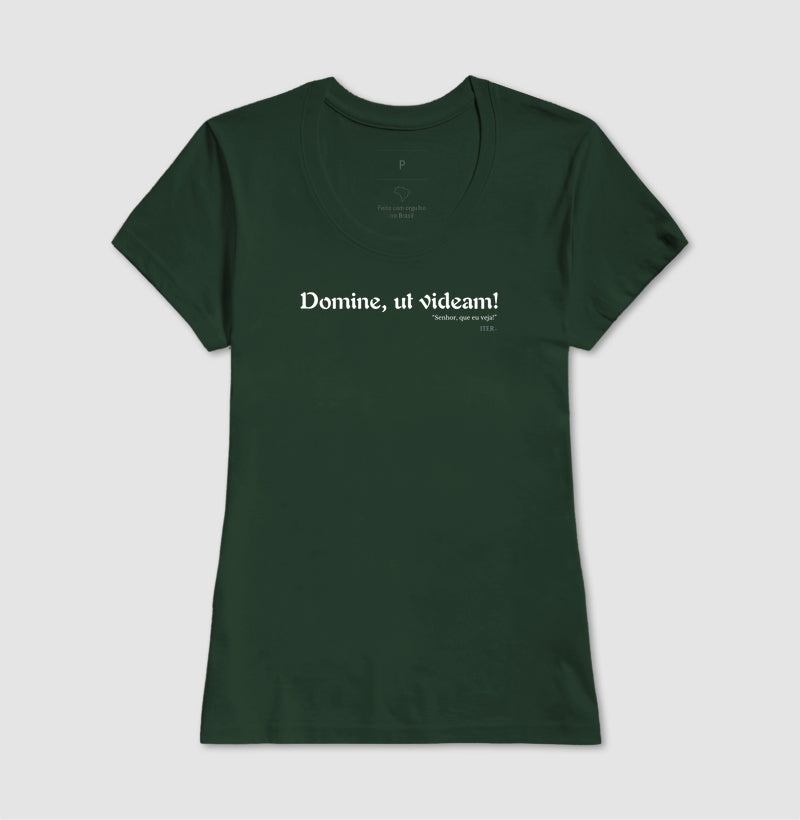 Domine, ut videam - Senhor, que eu veja