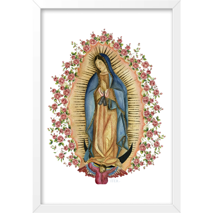 Quadro Caixa - Guadalupe, aquarela