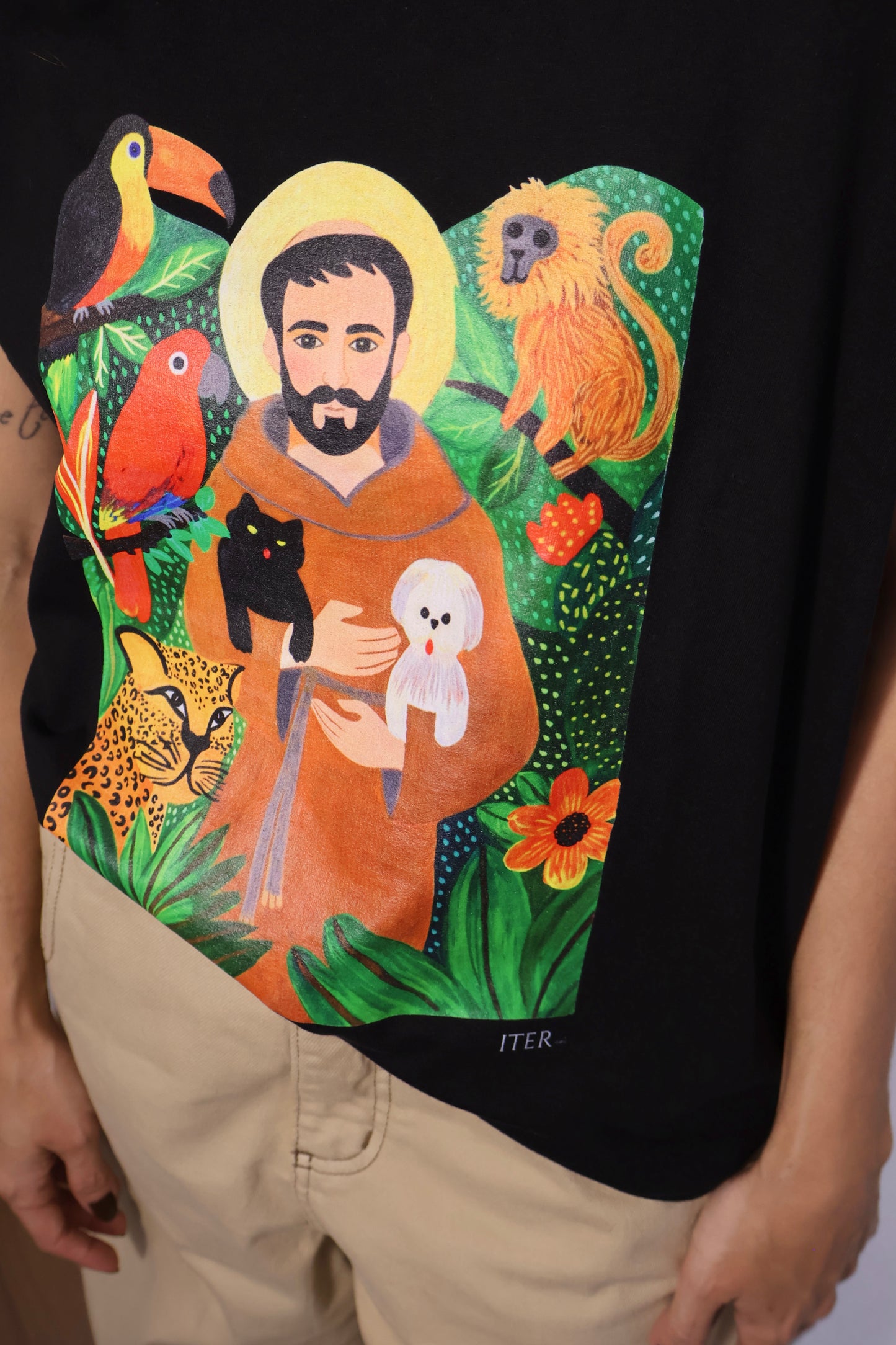 São Francisco, animais - Premium