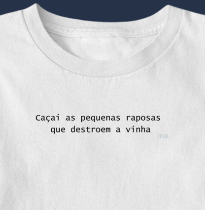 Raposas