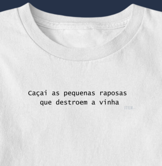 Raposas